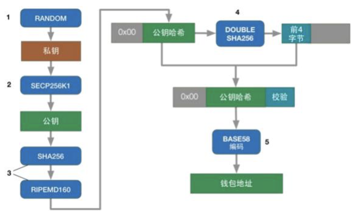 Passphrase → Secret Key → Public Key + Type Prefix → Account ID + Checksum → Address